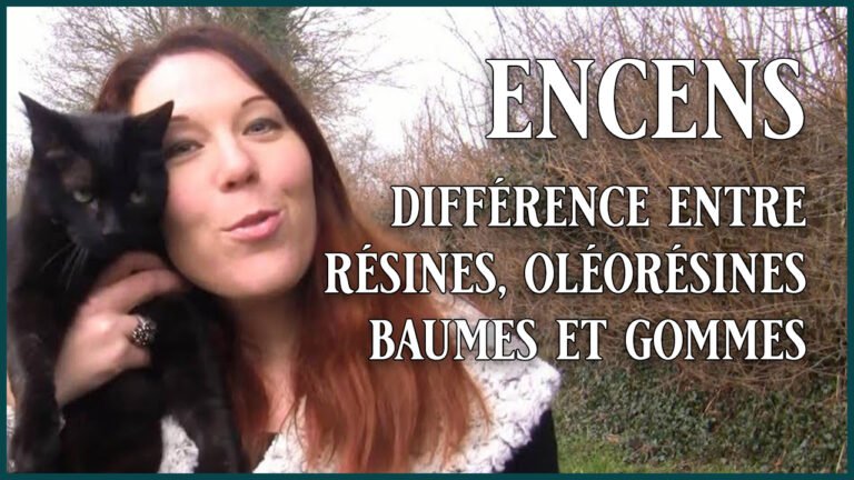 Encens : différence entre résines, oléorésines, baumes et gommes