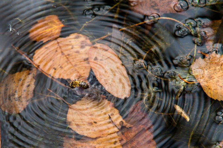Quelle est la fréquence de l&rsquo;eau ?
