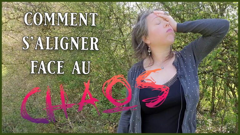 S&rsquo;aligner face au chaos